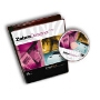 Zebra ZebraDesigner Pro Label Design Software